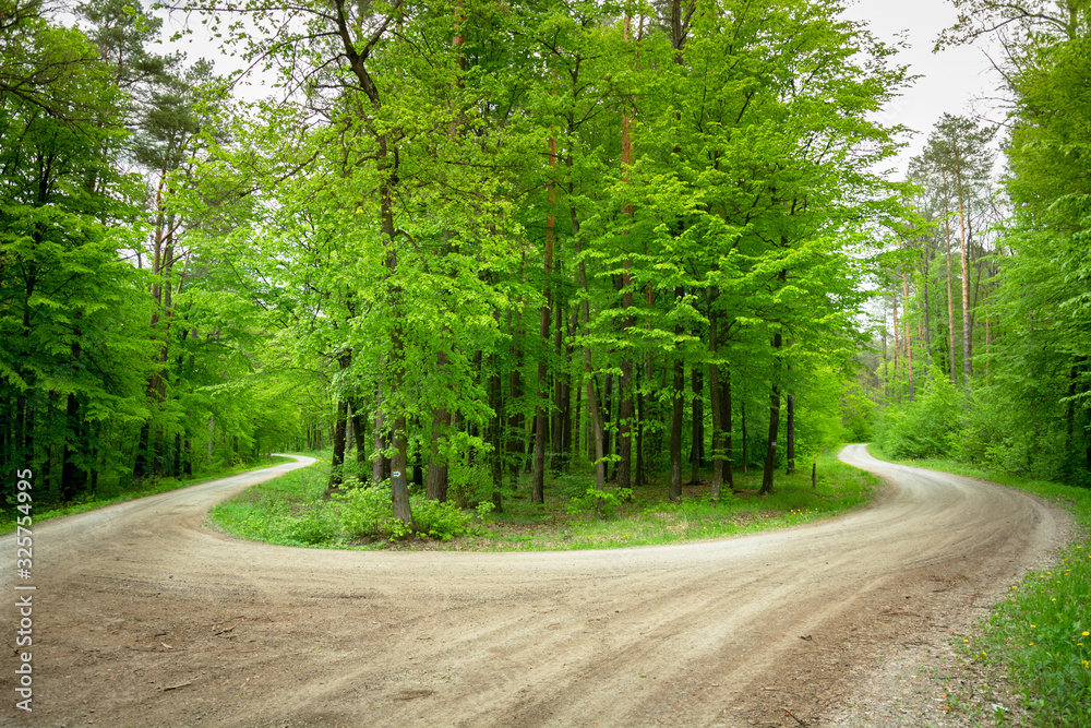 A sharp turn on the road in the green forest, spring view A sharp turn on the road in the green forest, spring view