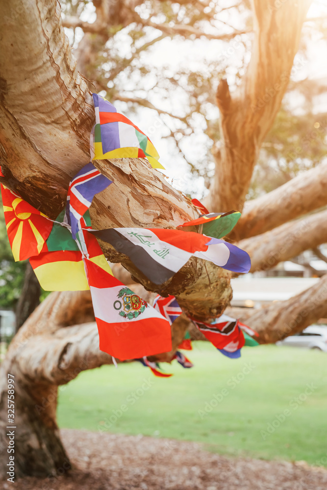 Multicultural Flag Tree Flags of different countries in the tree. Multicultural network ...