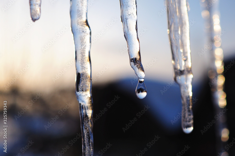 Icicles and a drop of meltwater in a rustic winter landscape in the sunset rays is a very close-up. Snow melting. The beginning of spring and the warm season, the end of winter. Strong macro Icicles and a drop of meltwater in a rustic winter landscape in the sunset rays is a very close-up. Snow melting. The beginning of spring and the warm season, the end of winter. Strong macro