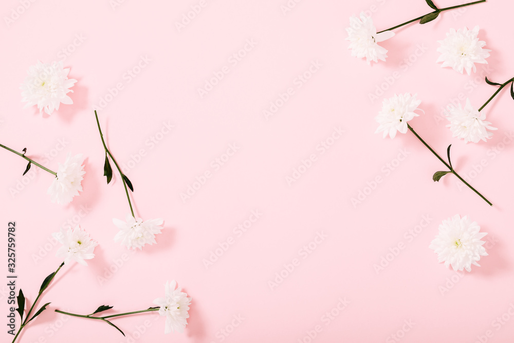 Fototapeta Beautiful flowers composition. White flowers chrysanthemum on pastel pink background. Valentines Day, Happy Women's Day, Mother's day. Flat lay, top view, copy space