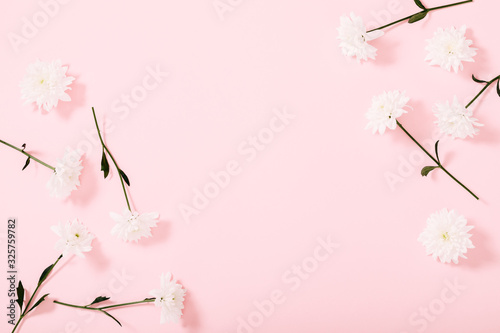 Fototapeta Beautiful flowers composition. White flowers chrysanthemum on pastel pink background. Valentines Day, Happy Women's Day, Mother's day. Flat lay, top view, copy space