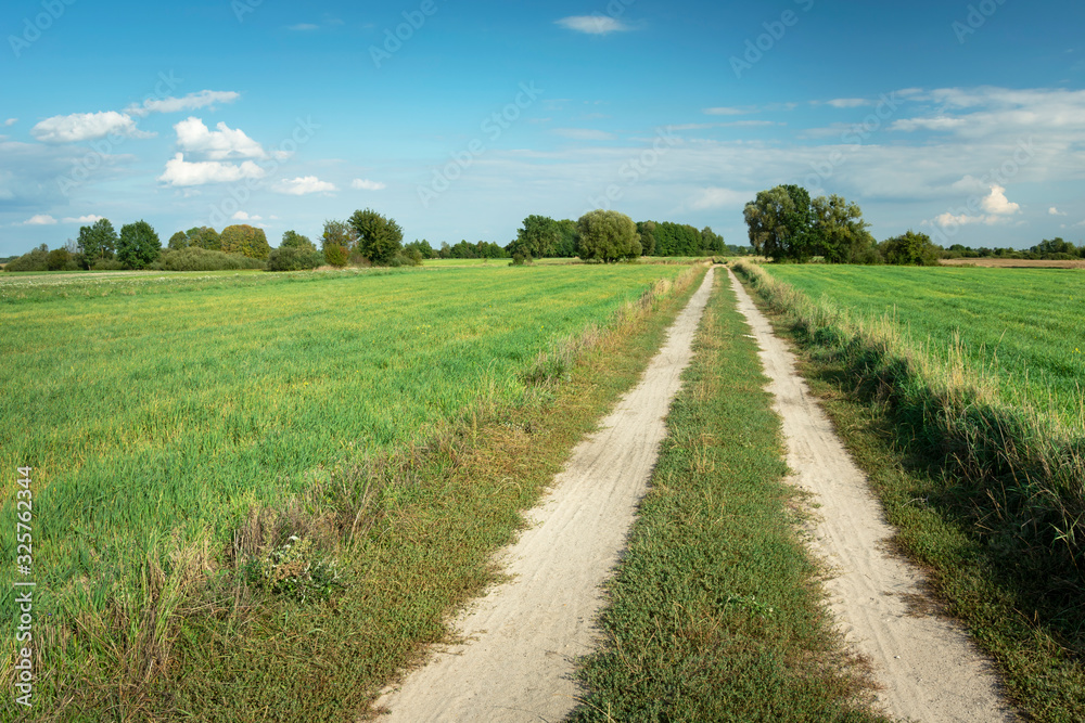 Straight dirt road through green fields, view on a sunny day, Nowiny, Poland Straight dirt road through green fields, view on a sunny day, Nowiny, Poland