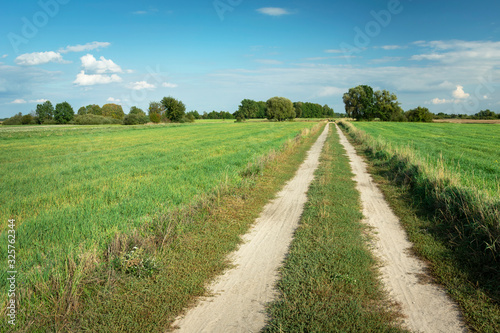 Straight dirt road through green fields  view on a sunny day  Nowiny  Poland