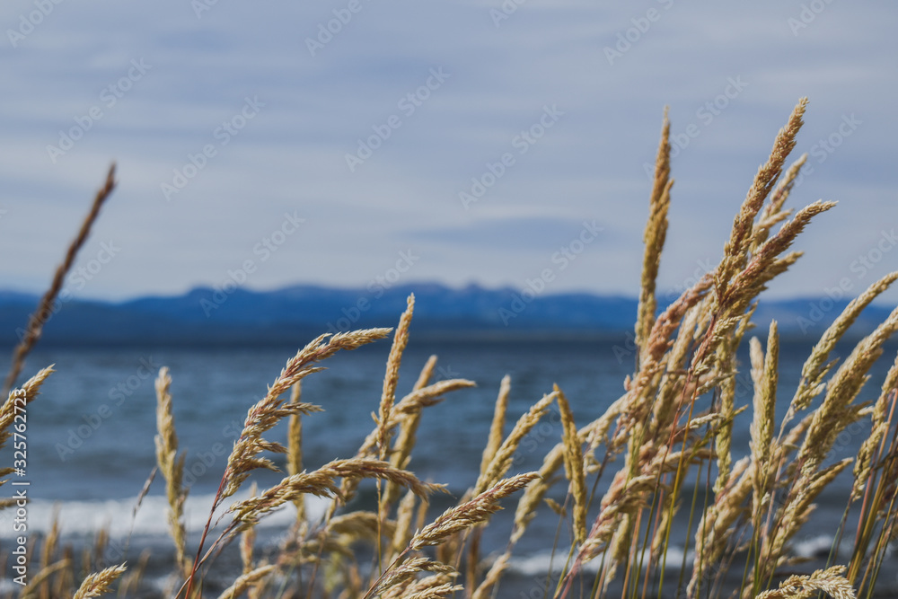 Fototapeta premium Lago N