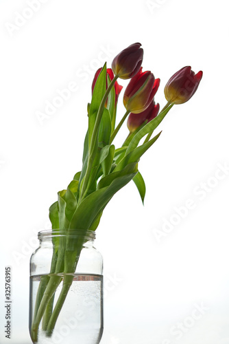 Delicate red tulips stand in a jar with a foda on a white background. Red fresh tulips.