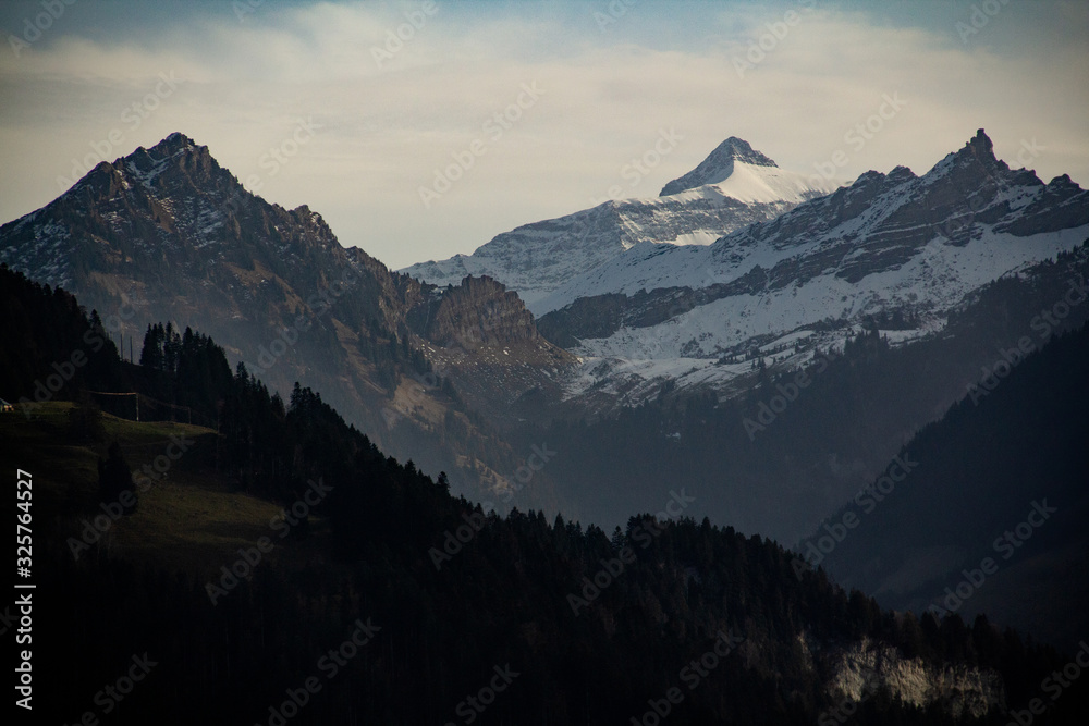 Snowcapped mountains in the Swiss Alps with silhouetted trees in the foreground