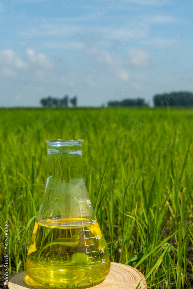 Shoots Lab Flask Image of a glass flask with a chemical solution on the background of ...
