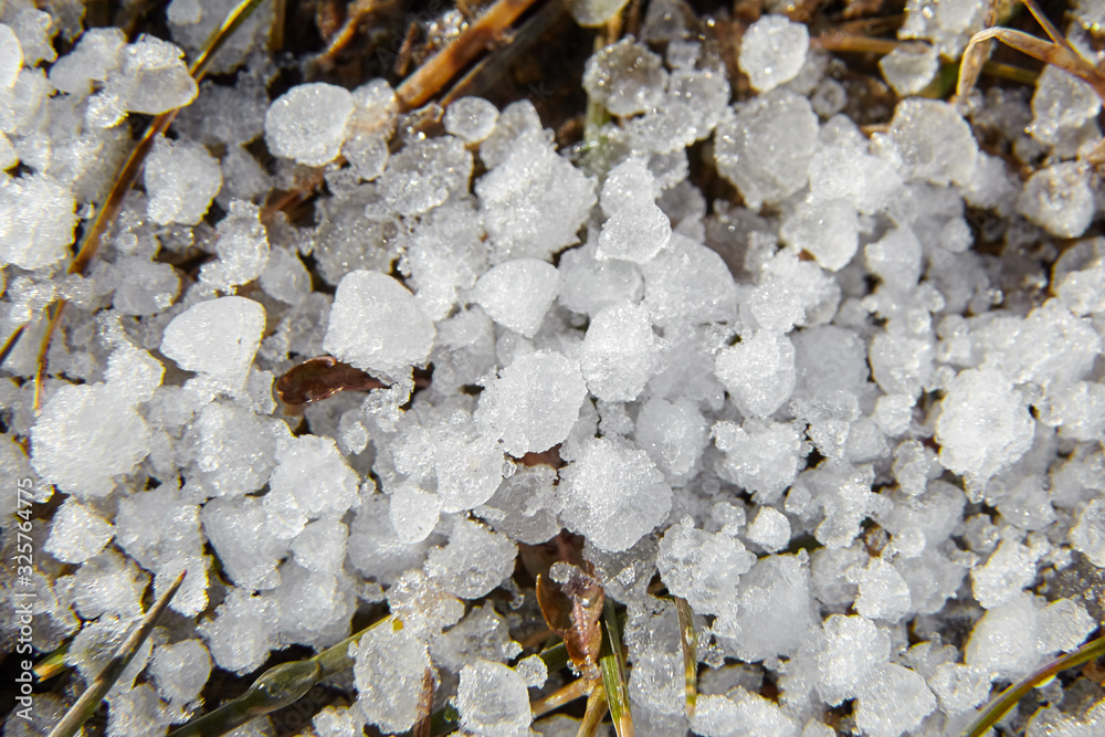 Obraz premium Snow pellets, graupel or soft hail on the ground. Form of precipitation