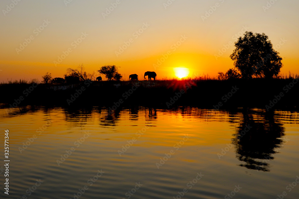 Sunset and an elephant
