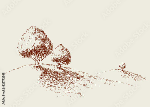 Quiet place in nature wallpaper, simple trees sketch, zen garden, minimalistic life style concept