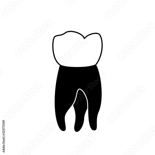 Vector isolated illustration of tooth