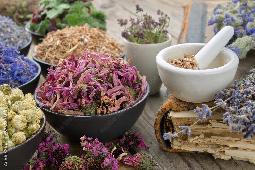 Bowls and mortars of dry medicinal herbs: lavender, cornflower coneflower, daisies, thyme flowers, oak bark. Healing herbs assortment and old book on wooden table.
