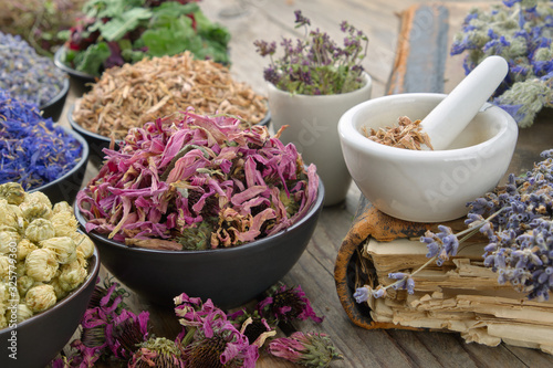 Bowls and mortars of dry medicinal herbs: lavender, cornflower coneflower, daisies, thyme flowers, oak bark. Healing herbs assortment and old book on wooden table.