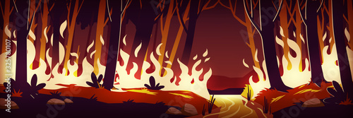 Burning wildfire at night. Fire in forest. Vector cartoon illustration of burnt landscape, nature disaster, ecology catastrophe. Flame on grass and trees in Amazonia, Australia or California forest