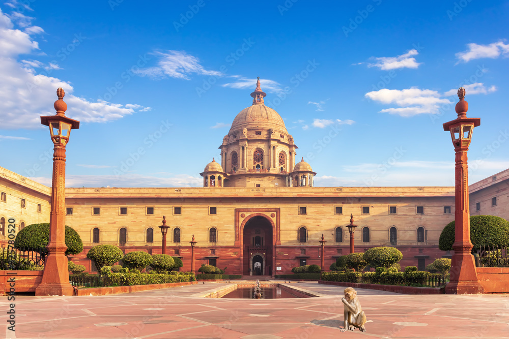 A monkey near the Rashtrapati Bhavan, the Presidential palace in New Dehli, India