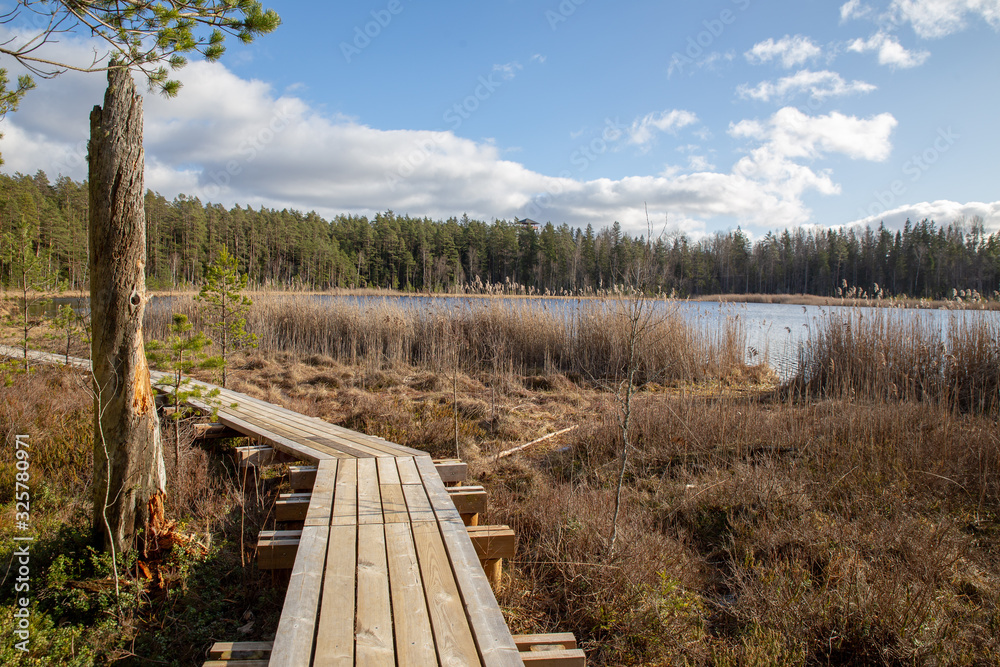 wooden bridge in the forest and lake