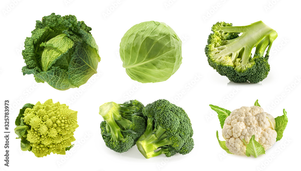 Different types of cabbage isolated on white background - obrazy, fototapety, plakaty 
