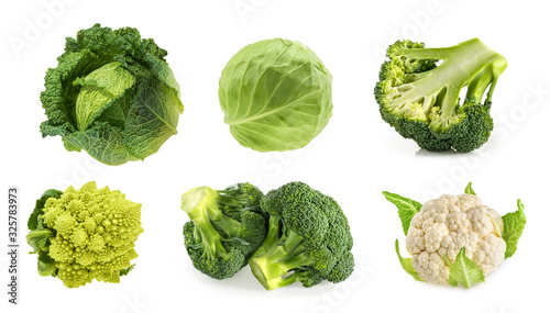 Different types of cabbage isolated on white background photo
