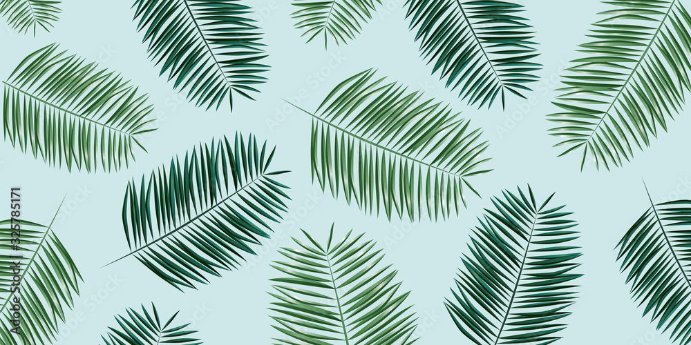 Palm leaves illustration