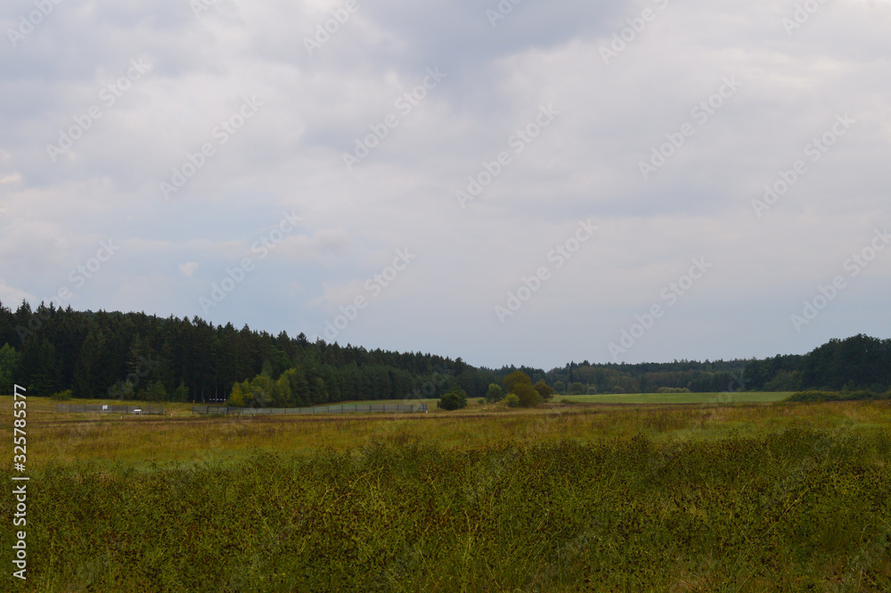 Obraz premium hillside in germany