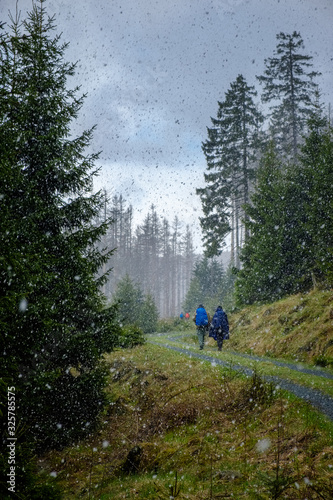 Schnee im Frühling: Wandergruppe auf dem Victor-von-Scheffel-Weg im Harz