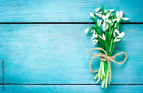 Snowdrops on blue wooden background