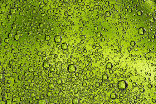 Abstract green background with oil circles . Bubbles of water close up .