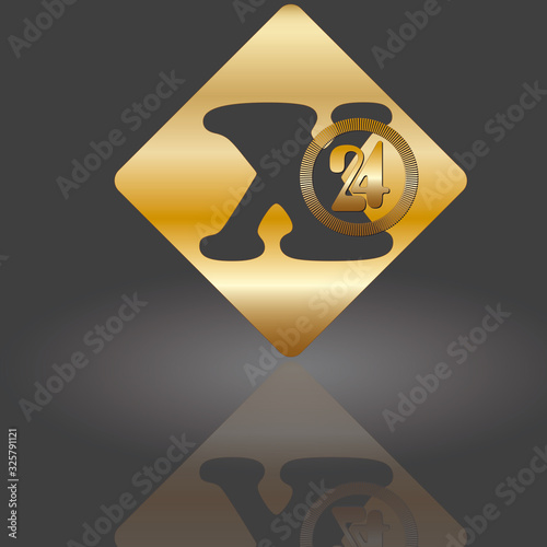 x 24_2