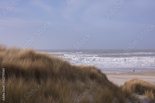 coast in the hague Netherlands