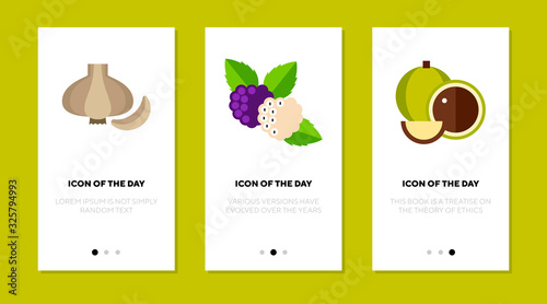 Garlic, berry and nut flat icon set. Flavor, spicy, garden isolated vector sign pack. Food and ingredients concept. Vector illustration symbol elements for web design and apps