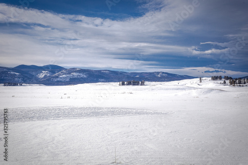 Small patch of tall evergreen trees in middle of vast open snow covered field with mountain range on cloudy day