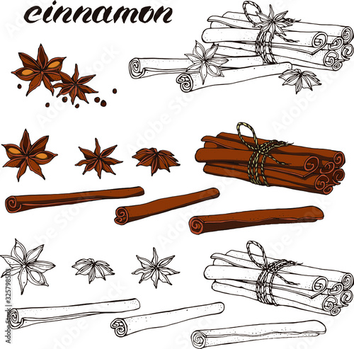 Photographie Vector set with hand drawn cinnamon : linear and colored brown stcks , stars, seeds