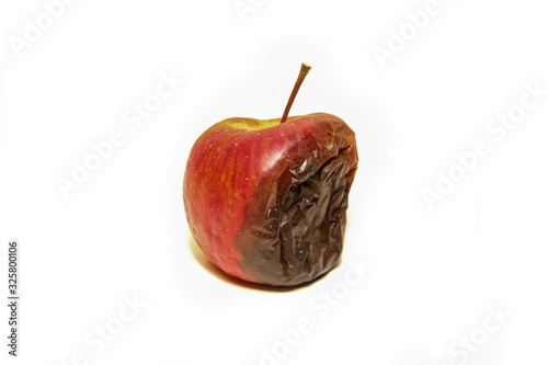 One rotten and uneatable apple. Isolated on a white background. 