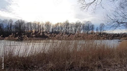 Wallpaper Mural Reeds move by storm on the bank of a lake Torontodigital.ca