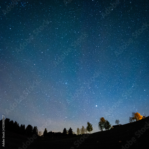 Bäume und Sterne bei Nacht - Landschaft im Allgäu