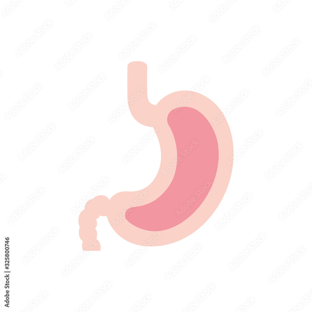 Isolated stomach icon vector design Isolated stomach icon vector design