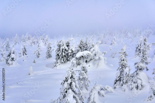 snowy winter plateau in a frosty haze © Evgeny