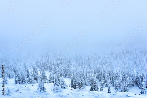 blue winter landscape - mountain forest in a frosty haze