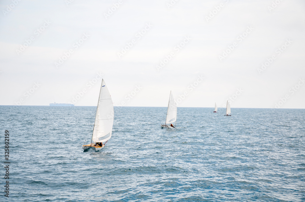 Sailboats, catamaran and surfer sailing near cargo ship of the Mediterranean Sea in Barcelona, Catalonia, Spain