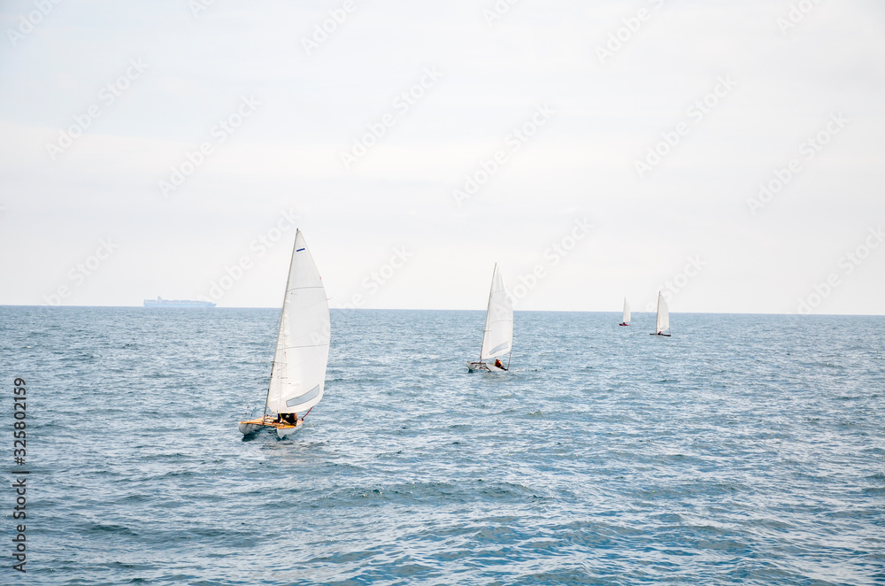 Obraz premium Sailboats, catamaran and surfer sailing near cargo ship of the Mediterranean Sea in Barcelona, Catalonia, Spain
