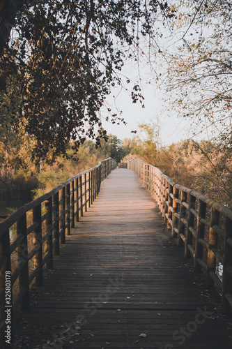 Wooden bridge in autumn day