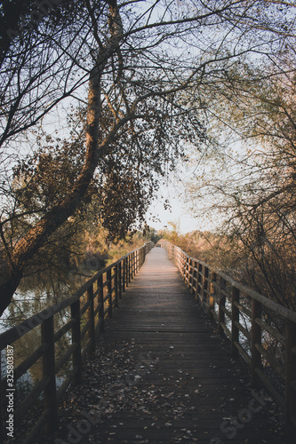 Wooden bridge in autumn day © Margalliver