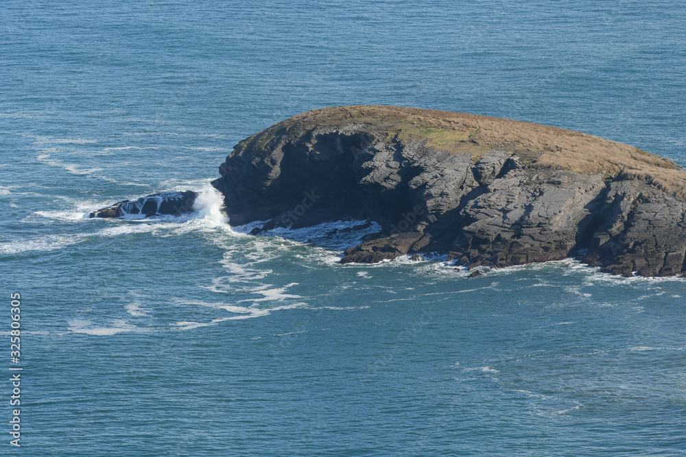 Close-up of the Whale with the waves breaking