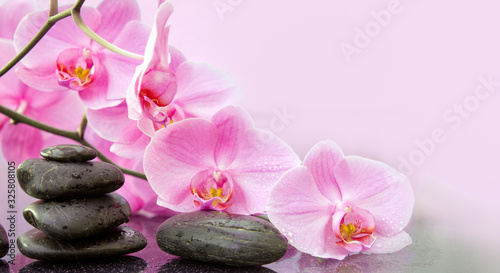 Pink orchid flower and spa stones with water drops isolated .