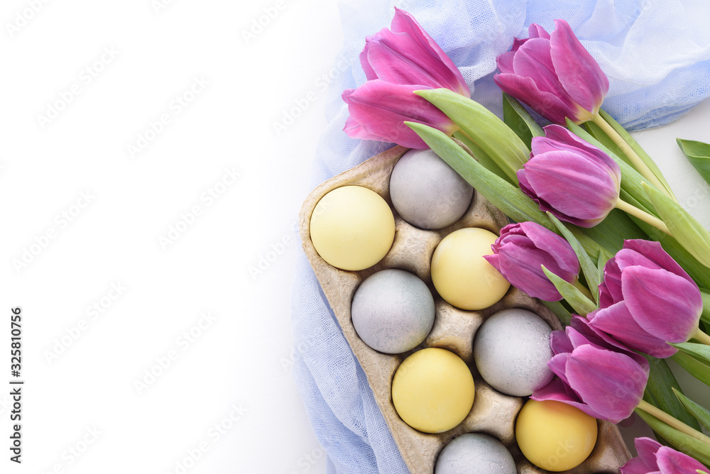 close-up of pastel blue and yellow Easter eggs with violet tulips with blue cloth napkin on white background close-up of pastel blue and yellow Easter eggs with violet tulips with blue cloth napkin on white background