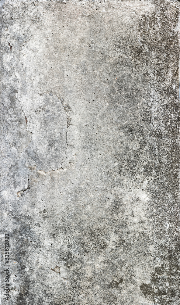 Fototapeta premium Concrete natural texture or background