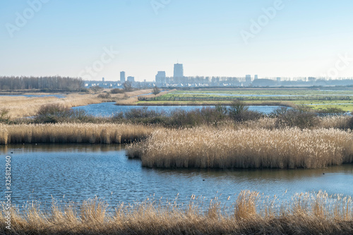 Panoramic view of the city of Almere from the nature reserve Oostvaardersplassen, The Netherlands. Landscape with river and city skyline.