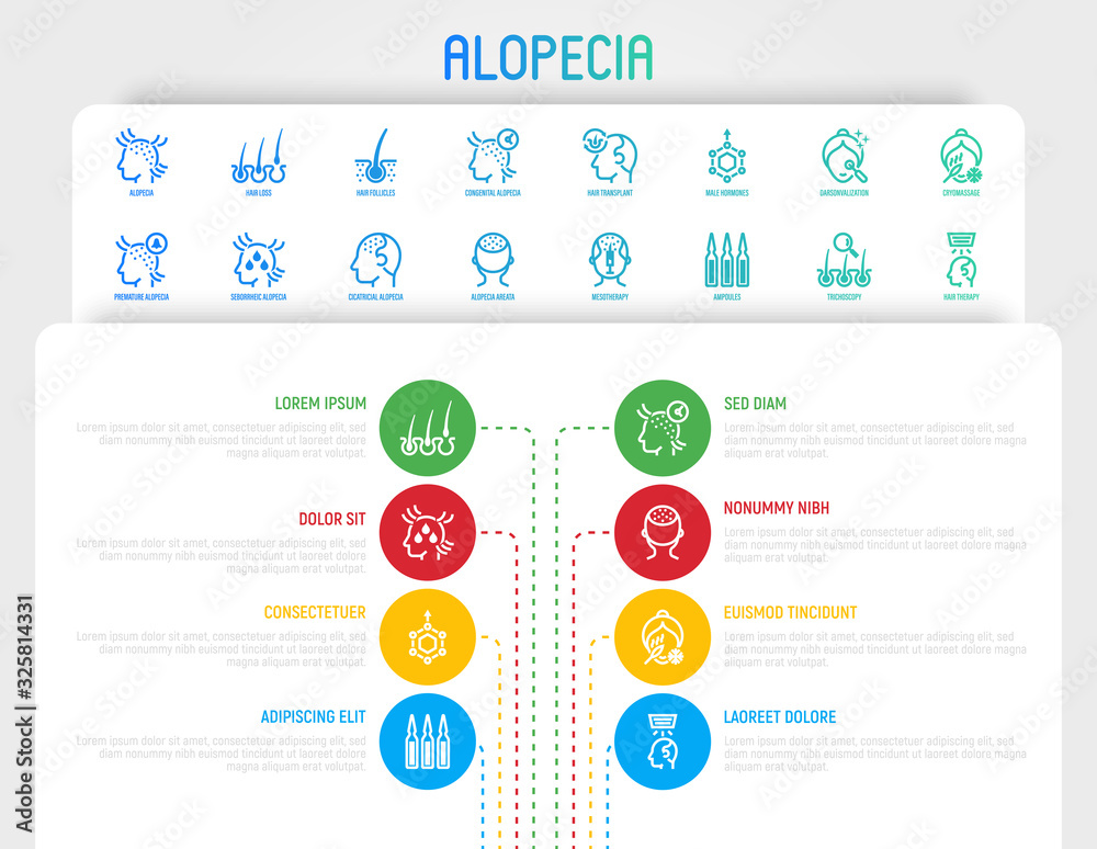 Alopecia and her types infographics with thin line icons. Trichology, hair loss, hair follicle, mesotherapy, ampoules, hair transplant. Vector illustration, template with copy space.