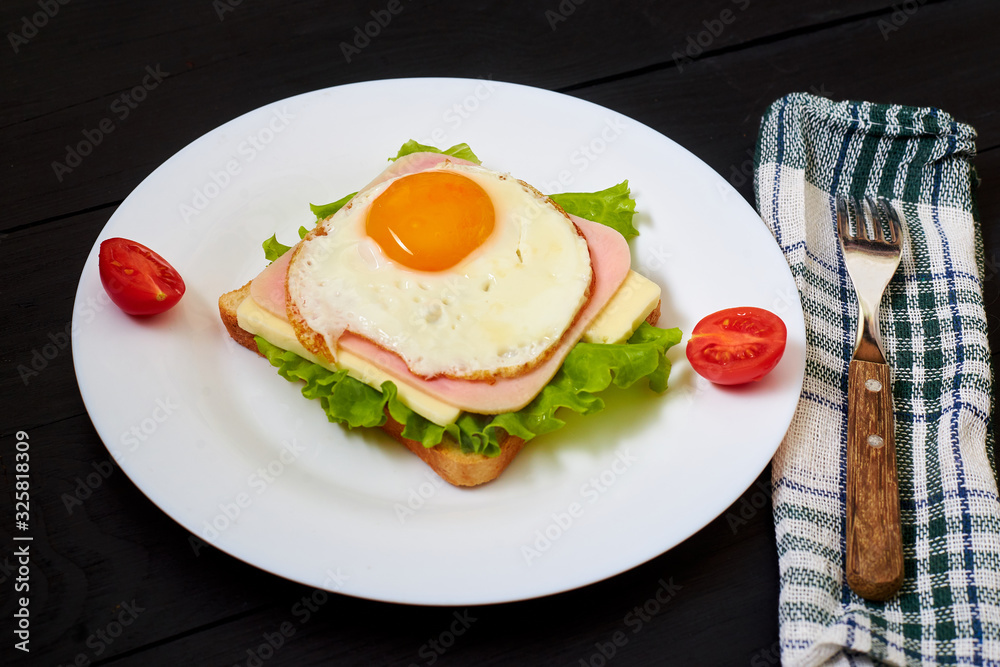 Toast with ham, egg and tomato on a plate on a black background. Toast with ham, egg and tomato on a plate on a black background.