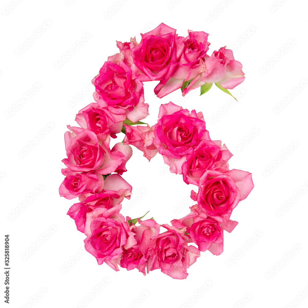 Numeral 6 made of roses on a white isolated background. Element for decoration.